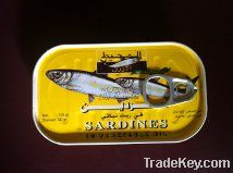 Canned Sardines Fish