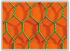 Hexagonal Wire Mesh