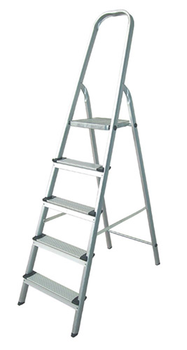 Aluminium ladder WR2591A