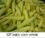 IQF vegetables