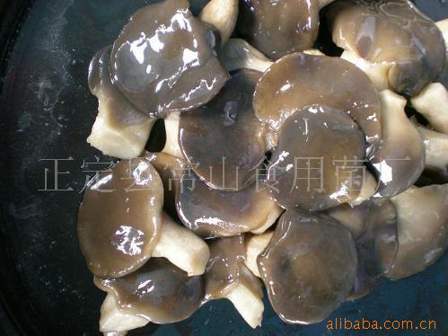 we sell salted champignon