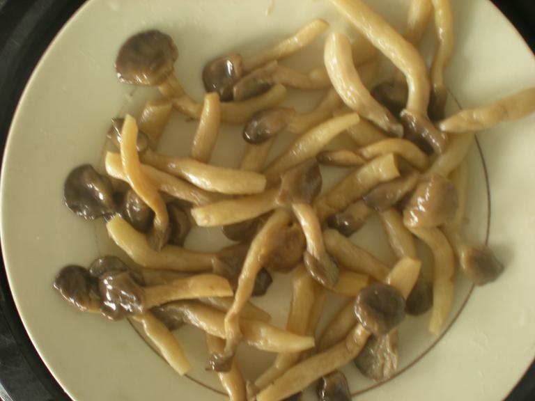 salted pleurotus cornucopiae