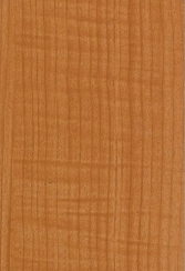 Wooden Design Aluminium Composite Panel