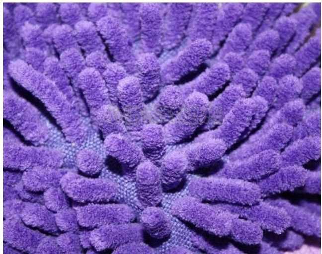  Microfibre  Waxing Mitt , Microfibre Car Cleaning Wash Mitt  Valeting Polishing Waxing