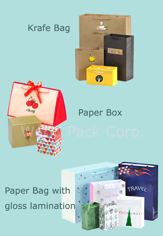 Paper Bag or Box