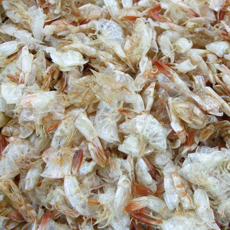 Dried Shrimp Shell