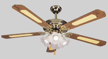 ceiling fan