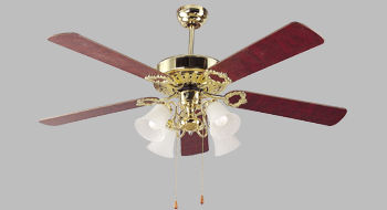 Decorative Ceiling Fans