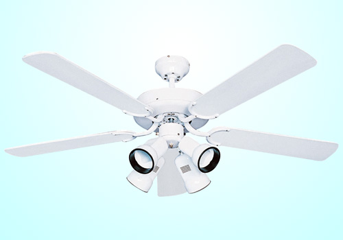 Decorative Ceiling Fan