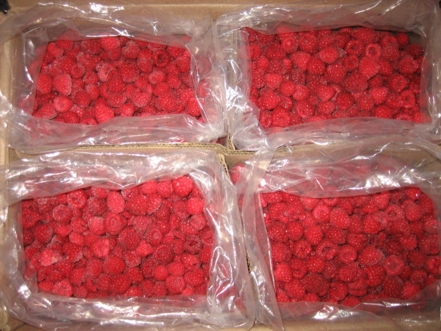 raspberry