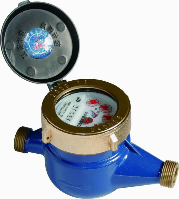 Rotary-vane wet-dial water meter