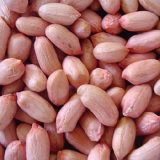 Peanut kernels