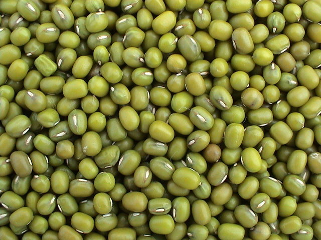 mung bean