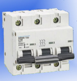 Mini Circuit Breaker (NC-100H)