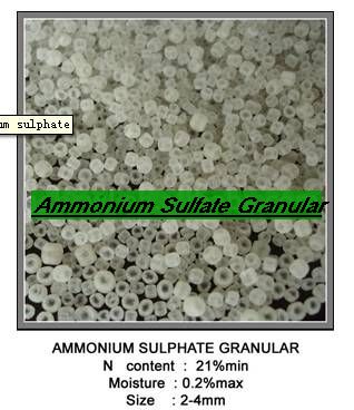 Ammonium Sulphate Granular