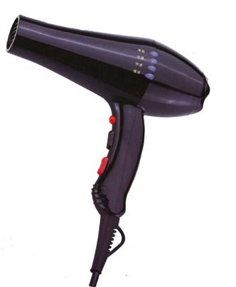 Professional Hair Dryer with Indicator