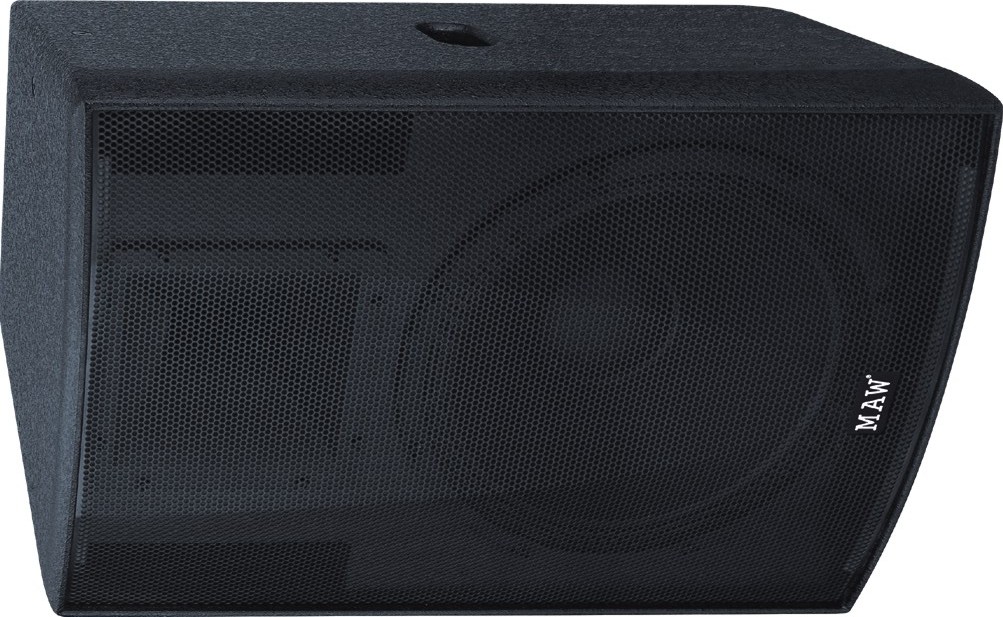 MAW CA series Pro speaker