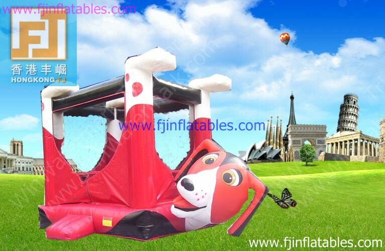 inflatbles bouncer