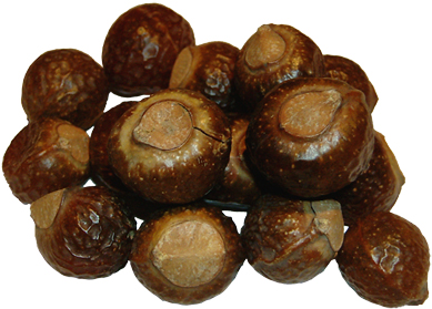 Soapnuts, Wash nuts