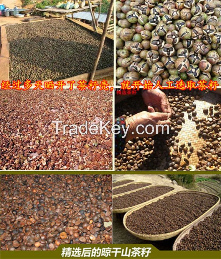 100% Natural Camellia Oil Seeds from Middle China Mountain Edible Oil Seeds