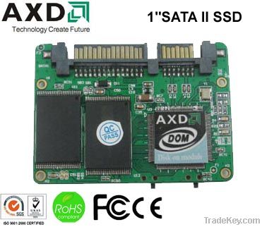 Mini SATA Solid State Disk