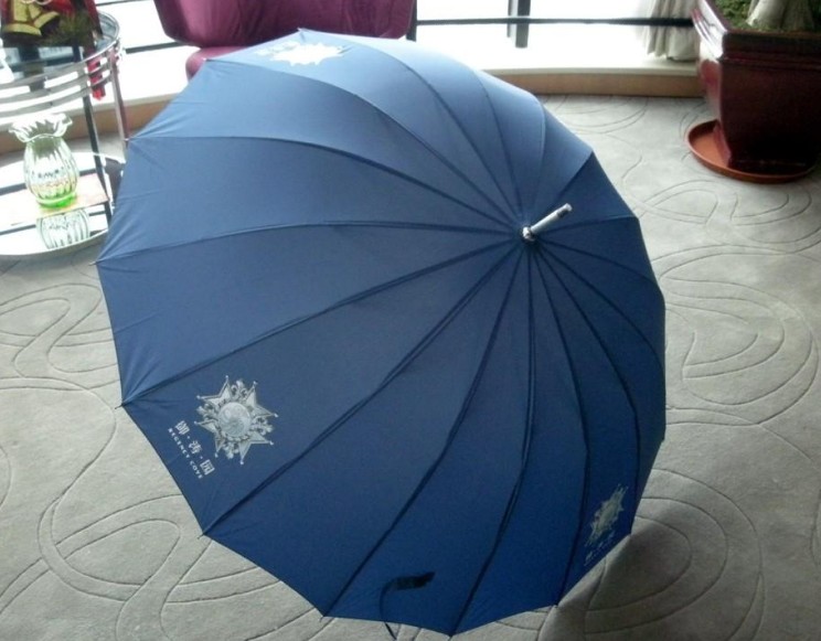 beautiful straight umbrella
