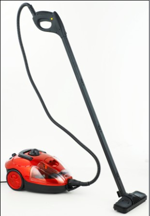 strong steam cleaner