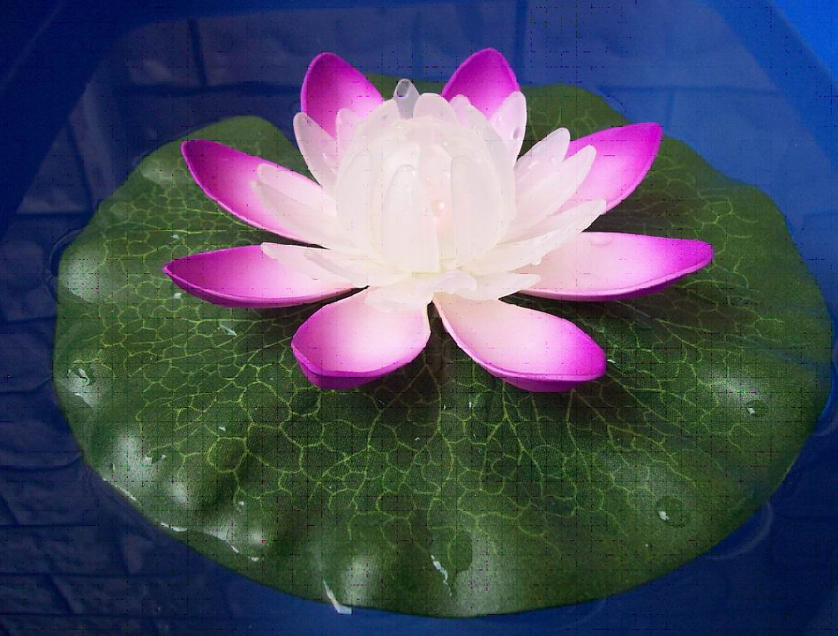 LED Water Lily