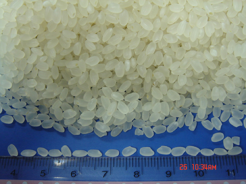 Sushi Rice - Round Grain Rice