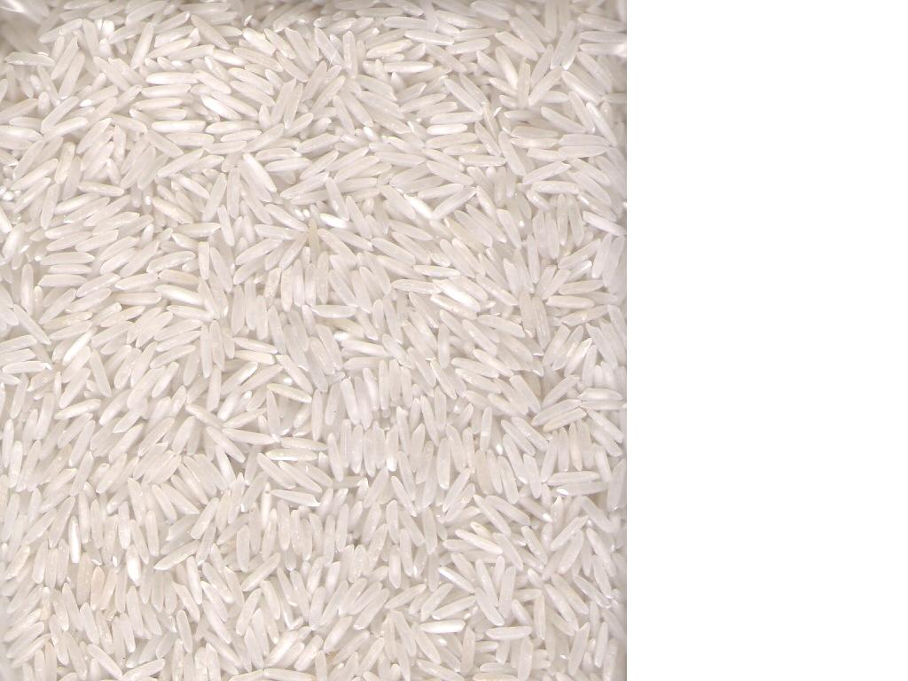 RICE SUPPLIER| PARBOILED RICE IMPORTERS | BASMATI RICE EXPORTER| KERNAL RICE WHOLESALER| WHITE RICE MANUFACTURER| LONG GRAIN TRADER| BROKEN RICE BUYER | IMPORT BASMATI RICE| BUY KERNAL RICE| WHOLESALE WHITE RICE| LOW PRICE LONG GRAIN