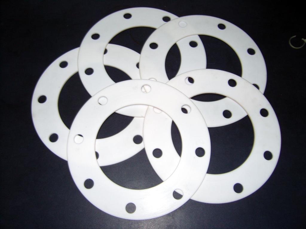 PTFE Gasket