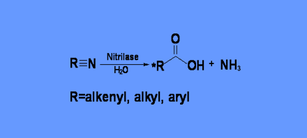 nitrilase