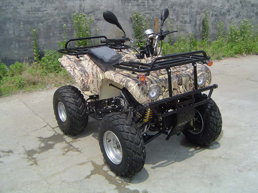 FLZ250 ATV &#65288;EEC)