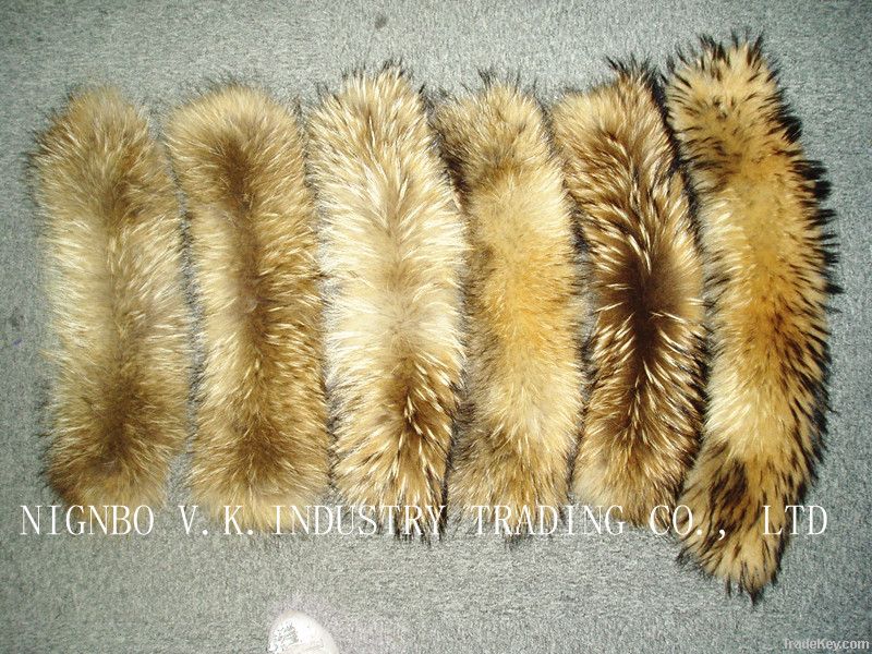 raccoon fur collar