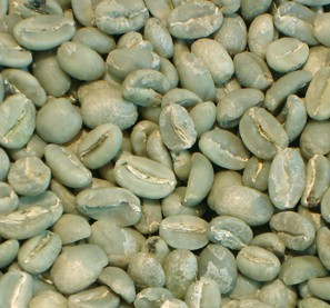 Yunnan Arabica coffee beans