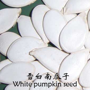 Pumpkin seed