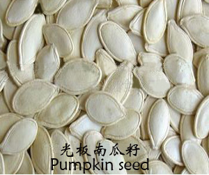 Pumpkin seed