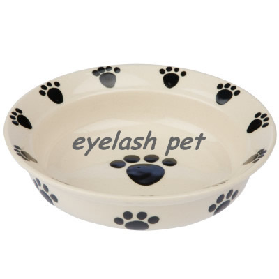 pet bowl