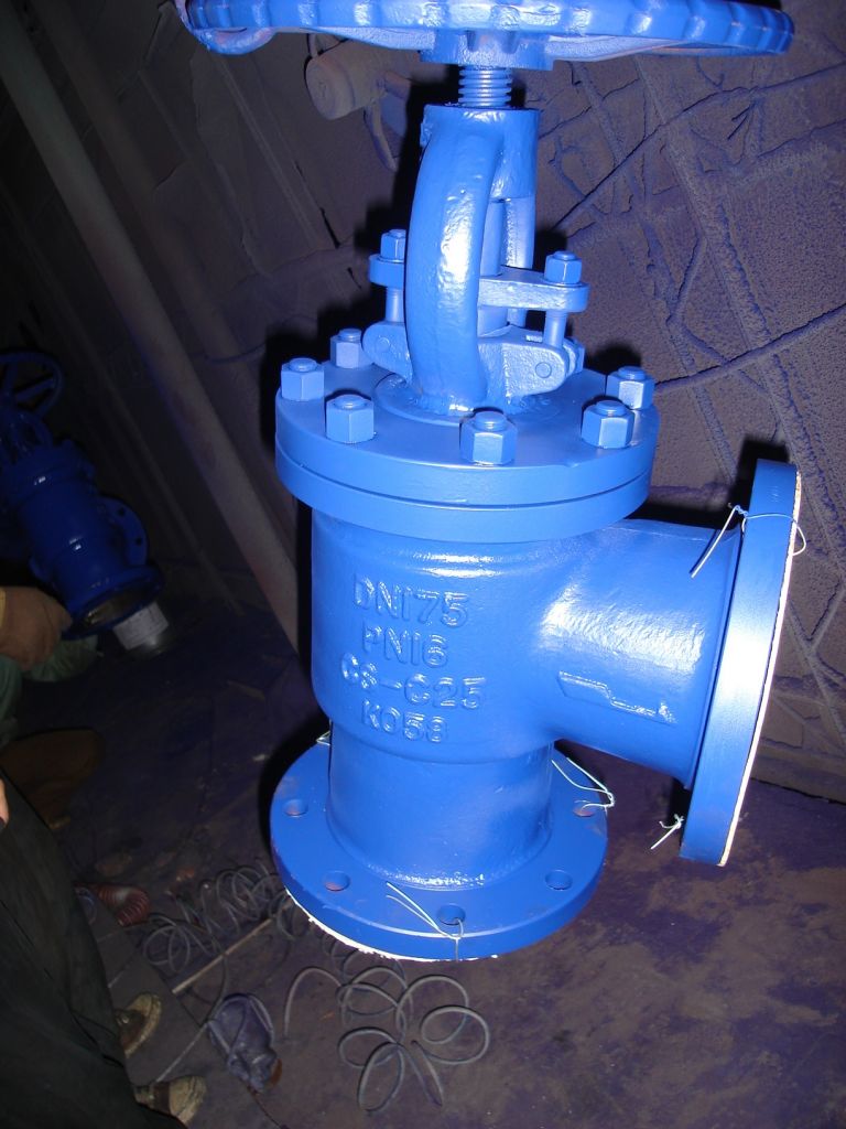 DIN ANGLE GLOBE VALVES