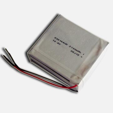 Sel Polymer Lithium Ion cells &packs