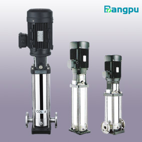 Stainless Steel Vertical Multi-Stage Pump (BPG Series)