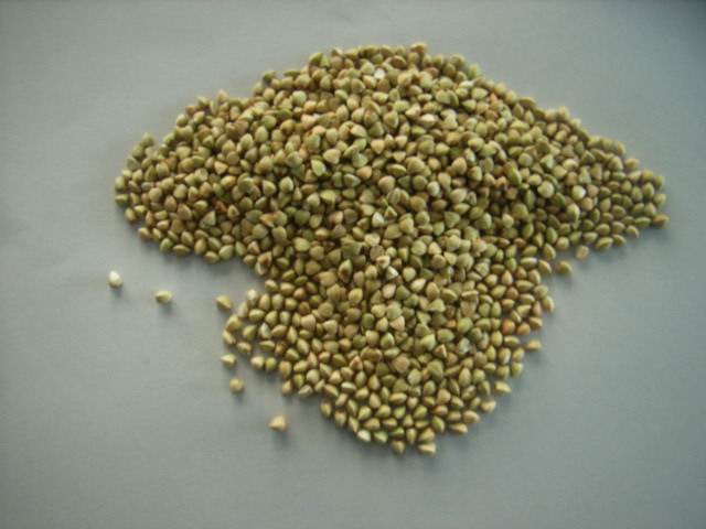 buckwheat kernel