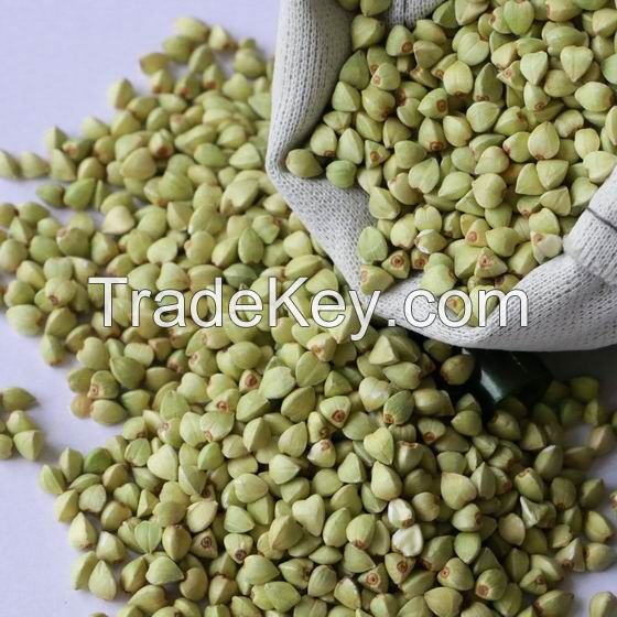 buckwheat kernel hulled green