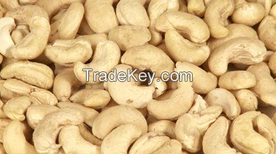 CASHEW NUT SALE OFFER