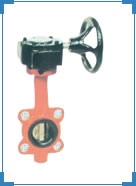 Butterfly Valves