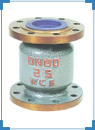 Check Valves