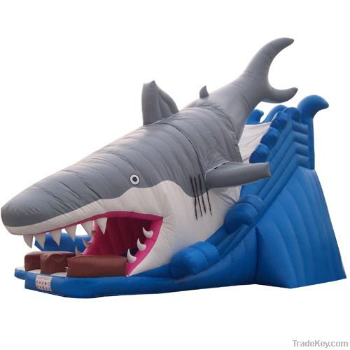 Inflatable Water Slide