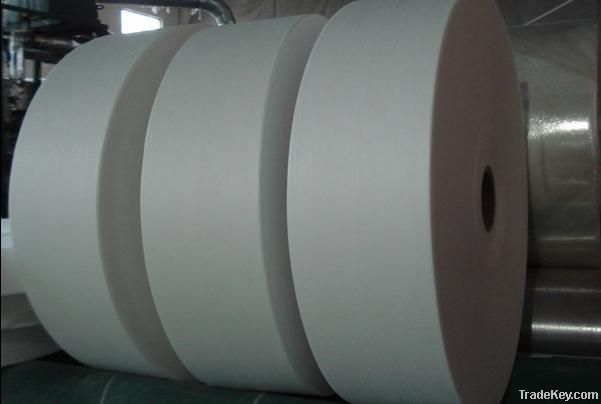 Hydrophilic Nonwoven