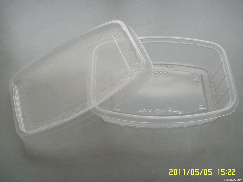 Plastic Food Container