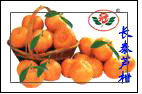 Mandarin orange1